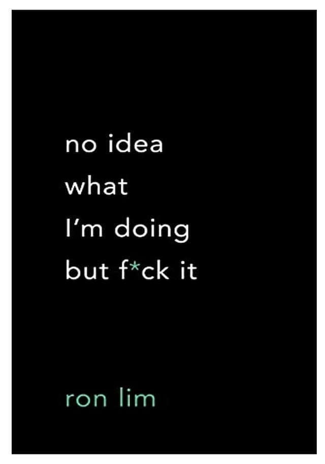 no idea what I'm doing but f*ck it by Ron Lim