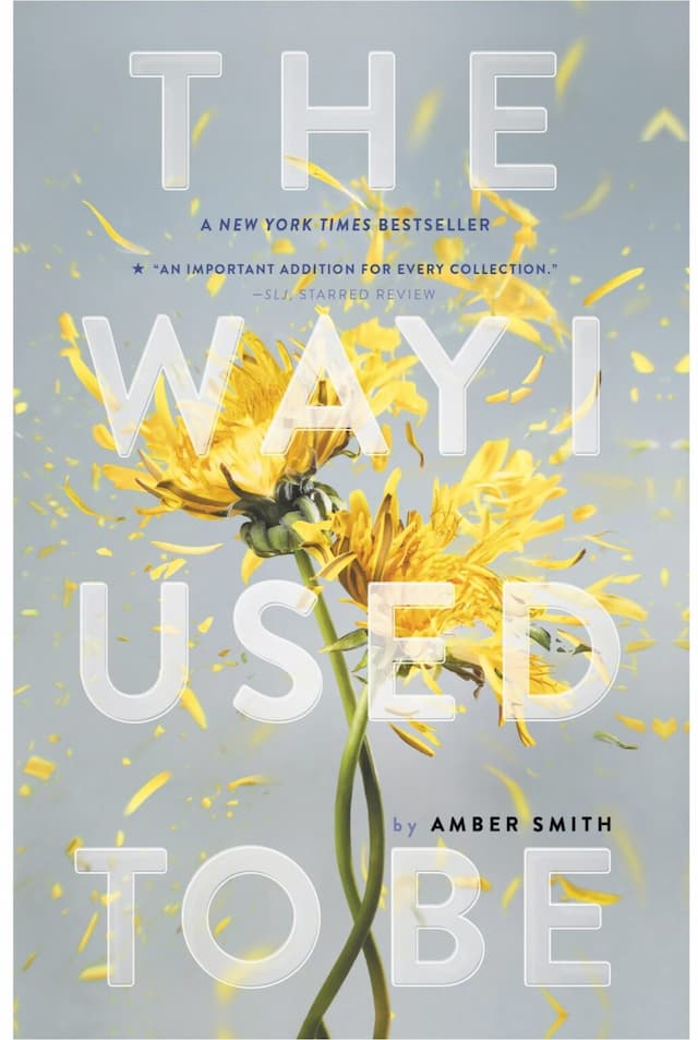 The Way I Used to Be by Amber Smith