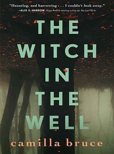 The Witch In The Well by Camilla Bruce
