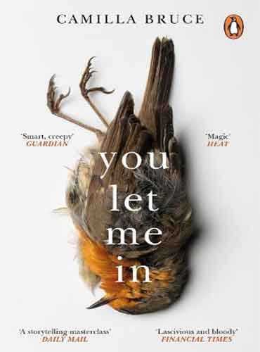 You Let Me In by Camilla Bruce
