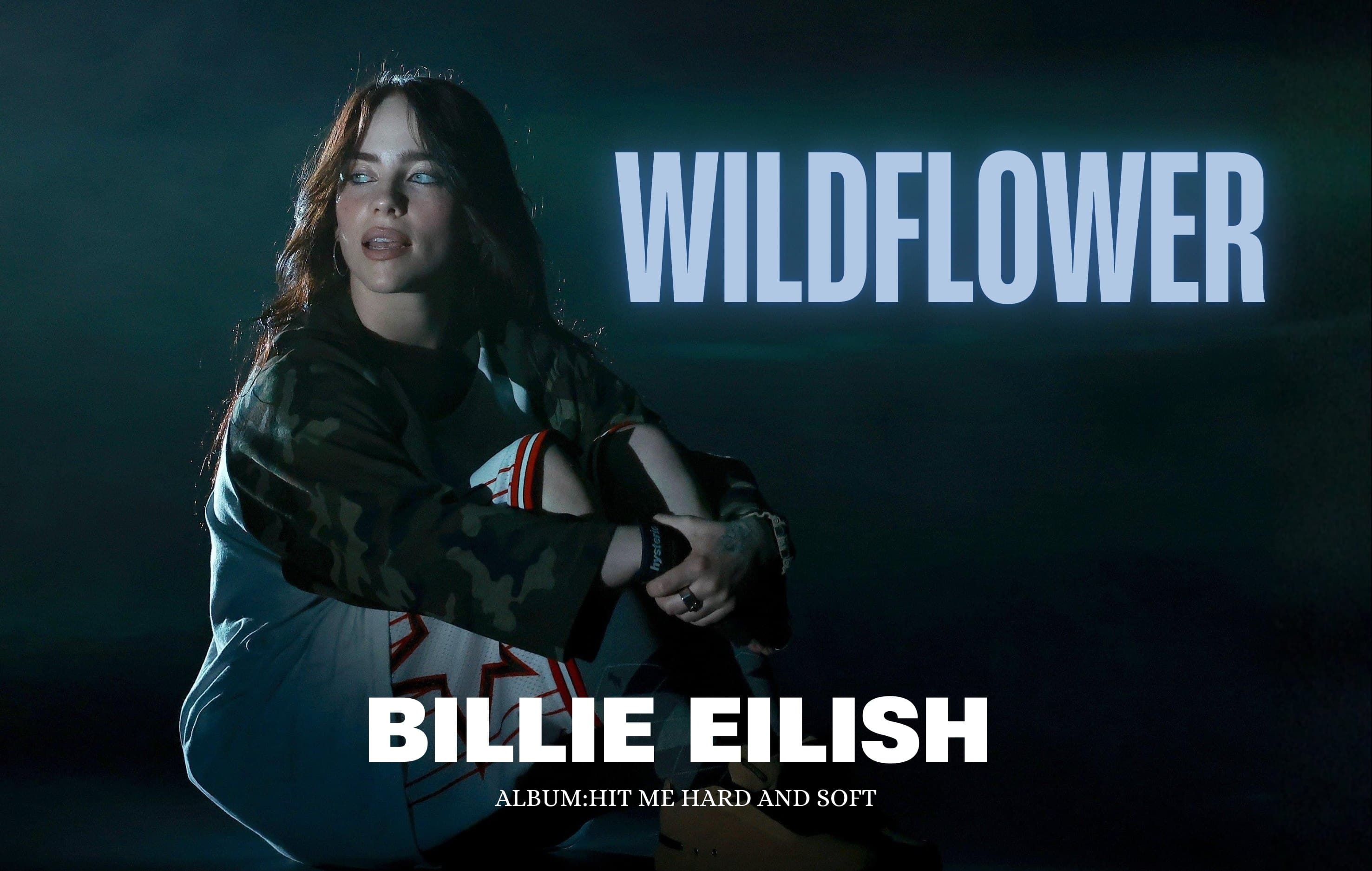 آموژش زبان با موسیقی(بیلی آیلیش)