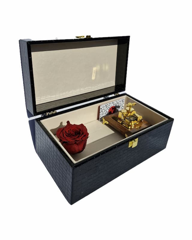 جعبه موزیکال بزرگ (luxury Music Box)