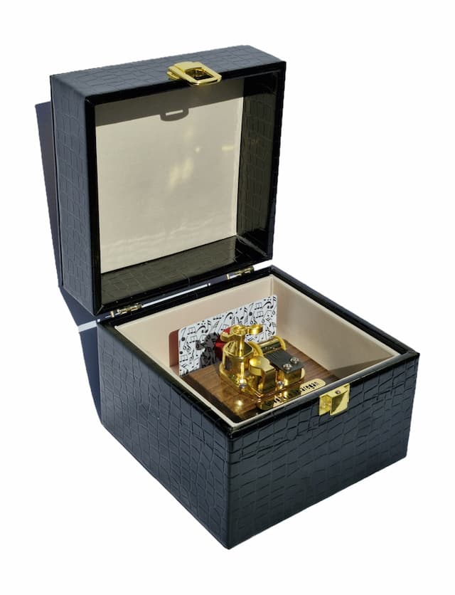 جعبه موزیکال متوسط (luxury Music Box)