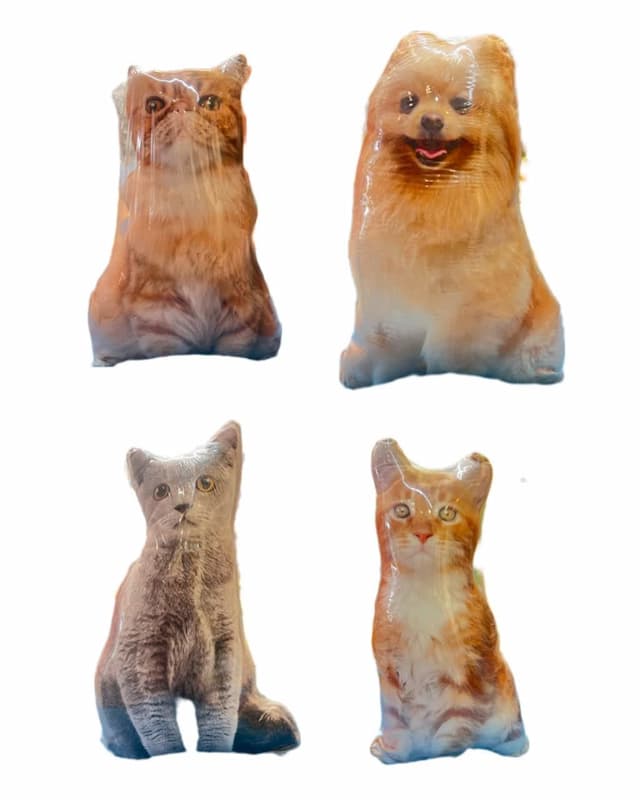 کوسن طرح گربه و سگ کوچک