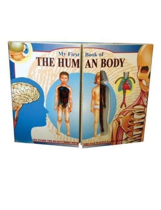 My First Book of the Human Body (Original Book)